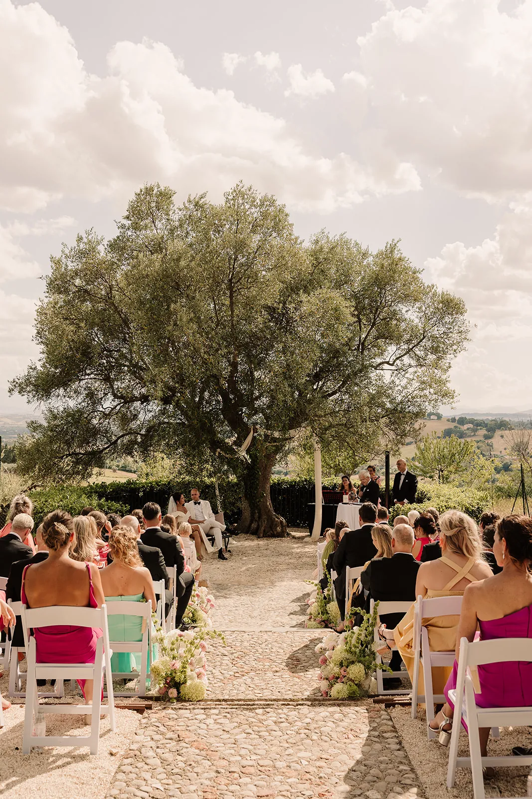 Guests seated for the ceremony under the old olive tree