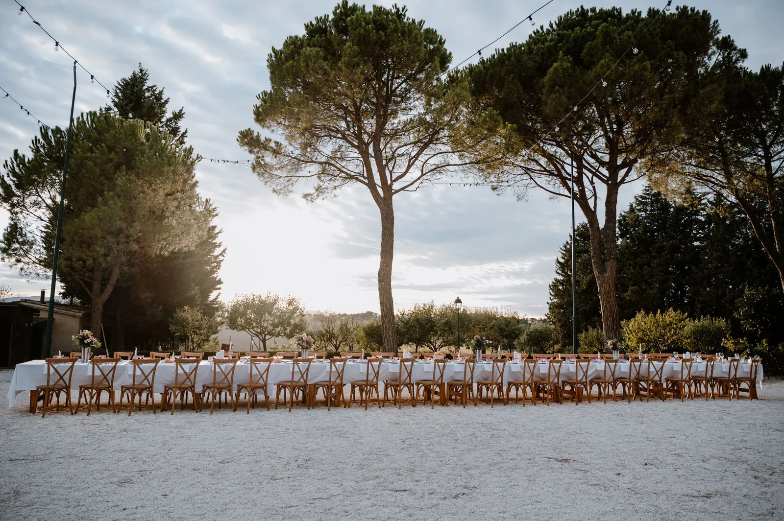 Long wedding table set under the umbrella pines with views over the hills