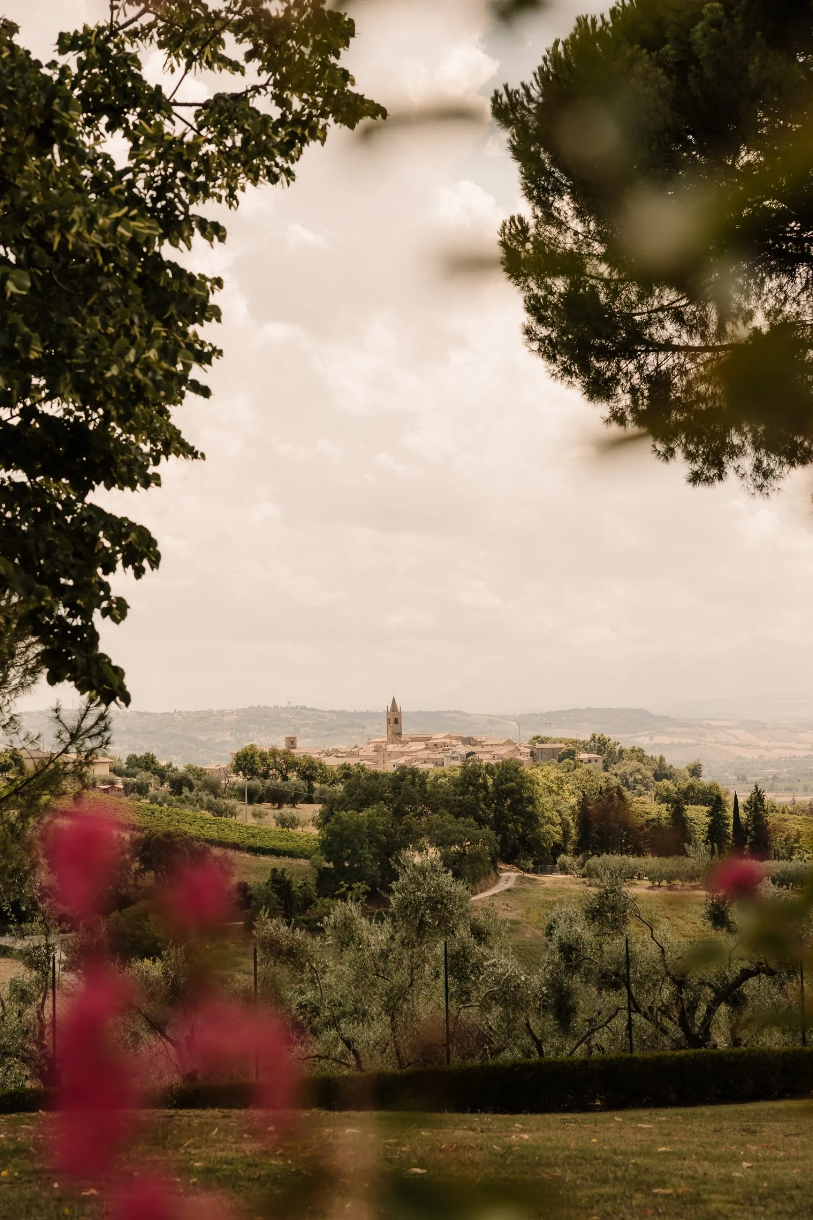View from Maniero to the hilltop town of Montecassiano